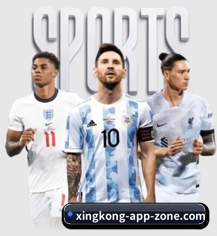 五大体育板块覆盖,从比分到直播全覆盖